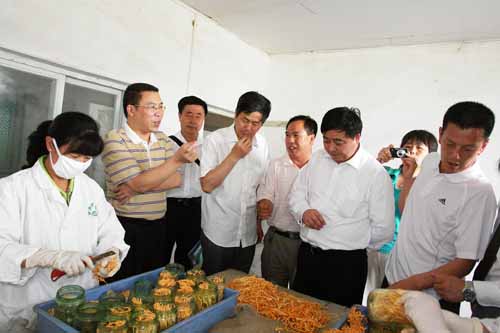 和记娱乐官网